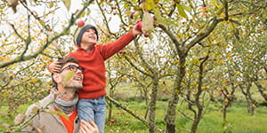 What is Citadel's routing number? | Citadel