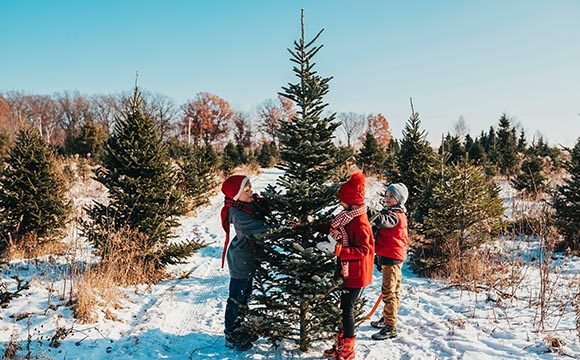 kids standing by Christmas tree tree at a tree farm