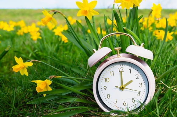 A clock sits in the grass. Spring time.
